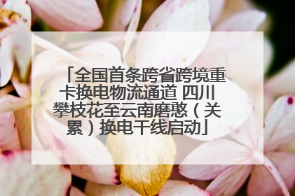 全国首条跨省跨境重卡换电物流通道 四川攀枝花至云南磨憨（关累）换电干线启动