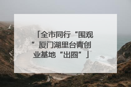 全市同行“围观”厦门湖里台青创业基地“出圈”