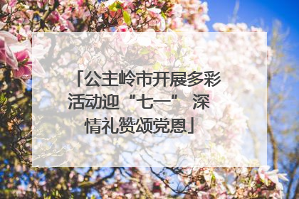 公主岭市开展多彩活动迎“七一” 深情礼赞颂党恩