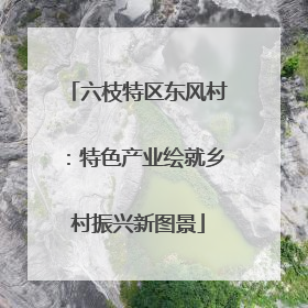 六枝特区东风村：特色产业绘就乡村振兴新图景