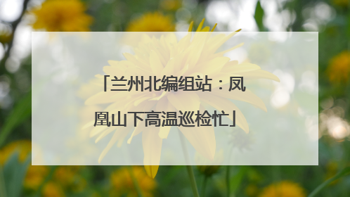 兰州北编组站：凤凰山下高温巡检忙