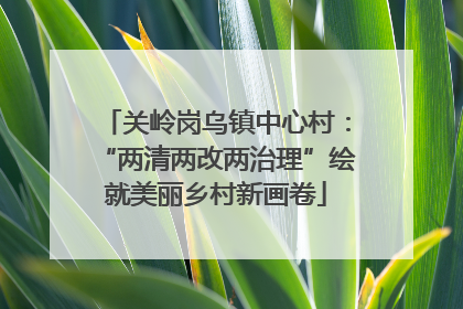 关岭岗乌镇中心村：“两清两改两治理”绘就美丽乡村新画卷