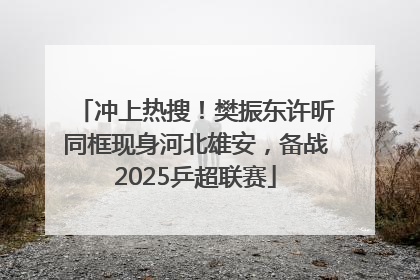 冲上热搜！樊振东许昕同框现身河北雄安，备战2025乒超联赛