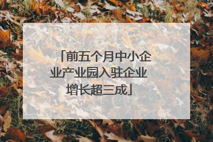前五个月中小企业产业园入驻企业增长超三成