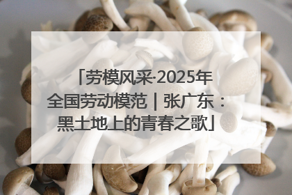 劳模风采·2025年全国劳动模范｜张广东：黑土地上的青春之歌