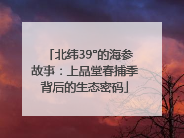 北纬39°的海参故事：上品堂春捕季背后的生态密码