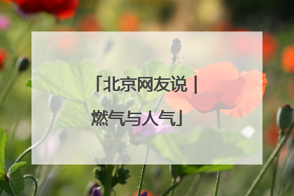 北京网友说｜燃气与人气