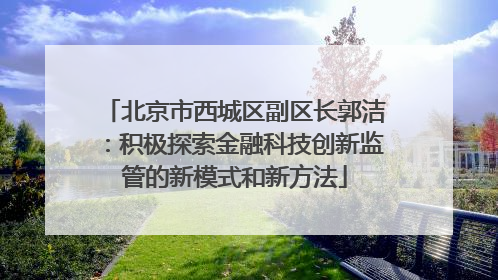 北京市西城区副区长郭洁：积极探索金融科技创新监管的新模式和新方法