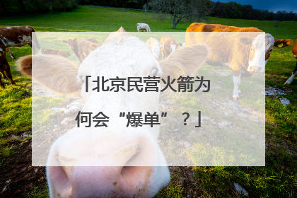 北京民营火箭为何会“爆单”？
