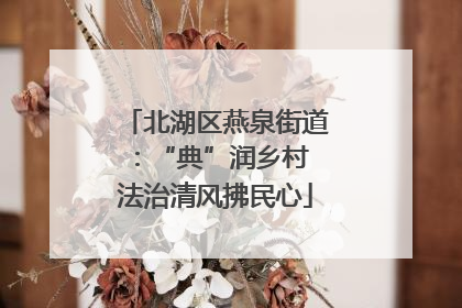 北湖区燕泉街道：“典”润乡村 法治清风拂民心