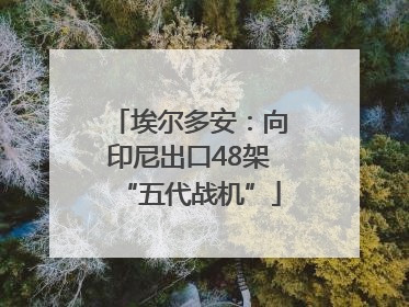 埃尔多安：向印尼出口48架“五代战机”