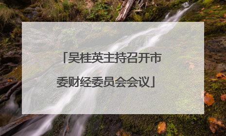 吴桂英主持召开市委财经委员会会议