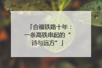 合福铁路十年：一条高铁串起的“诗与远方”