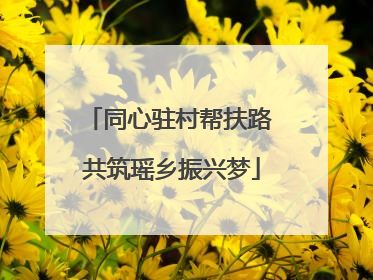 同心驻村帮扶路 共筑瑶乡振兴梦