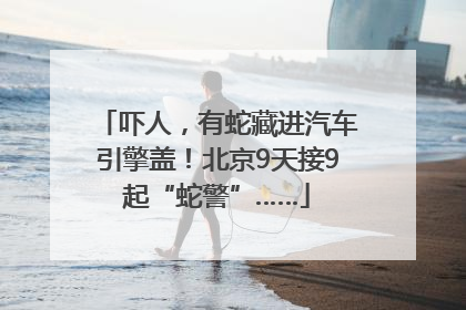 吓人，有蛇藏进汽车引擎盖！北京9天接9起“蛇警”……