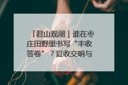 君山观潮｜谁在枣庄田野里书写“丰收答卷”？夏收交响与特色产业，共绘乡村振兴新图景