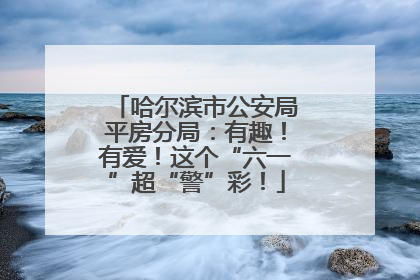 哈尔滨市公安局平房分局：有趣！有爱！这个“六一”超“警”彩！