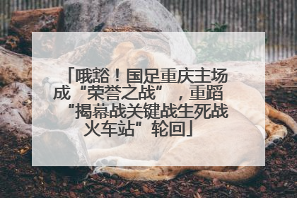 哦豁！国足重庆主场成“荣誉之战”，重蹈“揭幕战关键战生死战火车站”轮回