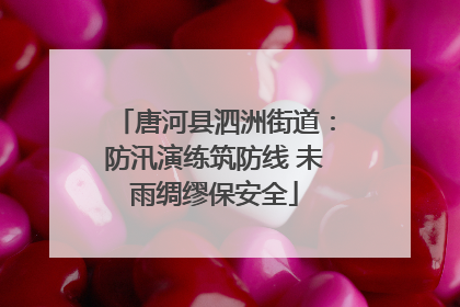 唐河县泗洲街道：防汛演练筑防线 未雨绸缪保安全