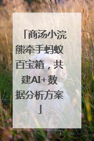 商汤小浣熊牵手蚂蚁百宝箱，共建AI+数据分析方案