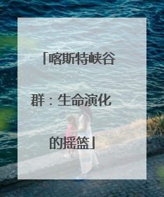 喀斯特峡谷群：生命演化的摇篮