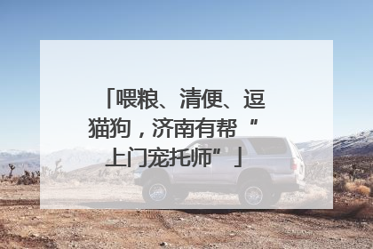 喂粮、清便、逗猫狗，济南有帮“上门宠托师”
