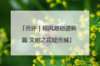善评｜移风易俗谱新篇 文明之花绽善城
