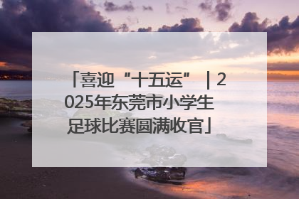 喜迎“十五运”｜2025年东莞市小学生足球比赛圆满收官