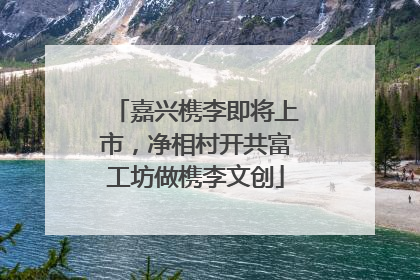 嘉兴槜李即将上市，净相村开共富工坊做槜李文创