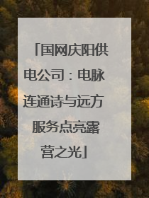国网庆阳供电公司：电脉连通诗与远方 服务点亮露营之光