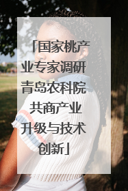 国家桃产业专家调研青岛农科院 共商产业升级与技术创新