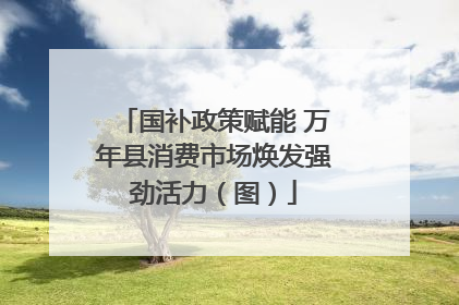国补政策赋能 万年县消费市场焕发强劲活力（图）