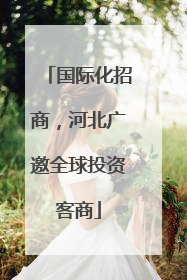 国际化招商，河北广邀全球投资客商