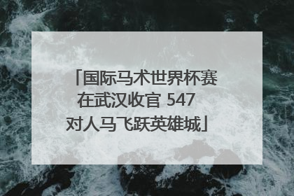 国际马术世界杯赛在武汉收官 547对人马飞跃英雄城