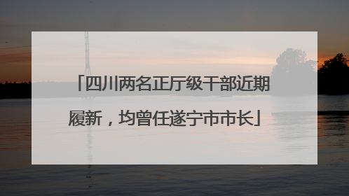四川两名正厅级干部近期履新，均曾任遂宁市市长