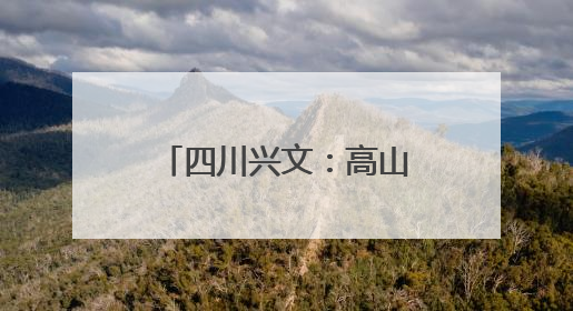 四川兴文：高山苗乡“避暑经济”热，特色旅游铺就致富路丨“石榴花开”四川行⑧