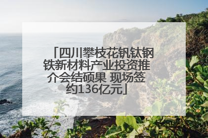 四川攀枝花钒钛钢铁新材料产业投资推介会结硕果 现场签约136亿元