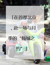 在首都北京，赴一场与月季的“倾城之约”