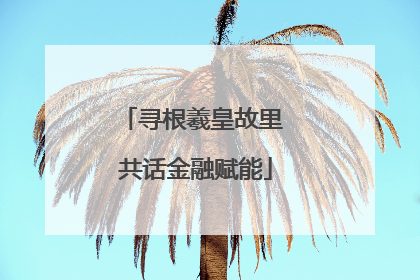 寻根羲皇故里 共话金融赋能