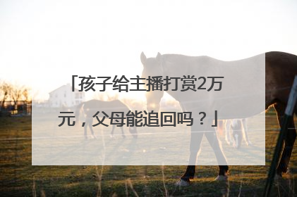 孩子给主播打赏2万元，父母能追回吗？