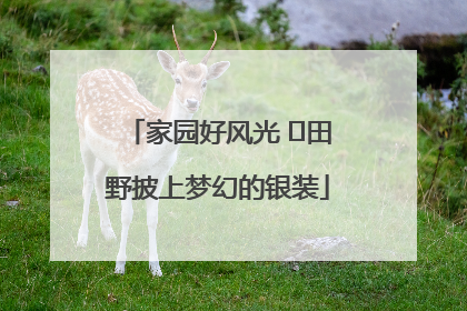 家园好风光 ⎮田野披上梦幻的银装