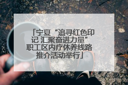 宁夏“追寻红色印记 汇聚奋进力量”职工区内疗休养线路推介活动举行