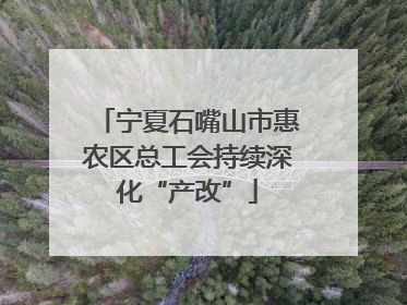 宁夏石嘴山市惠农区总工会持续深化“产改”