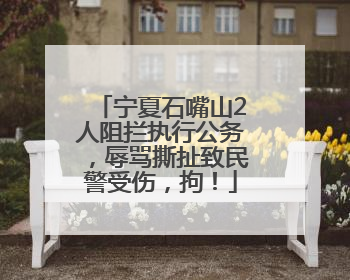 宁夏石嘴山2人阻拦执行公务，辱骂撕扯致民警受伤，拘！