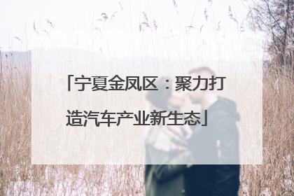 宁夏金凤区：聚力打造汽车产业新生态
