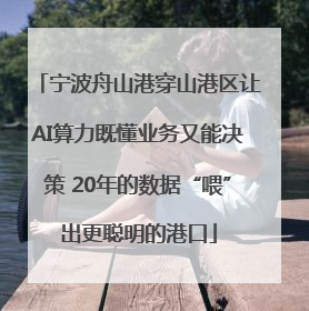 宁波舟山港穿山港区让AI算力既懂业务又能决策 20年的数据“喂”出更聪明的港口