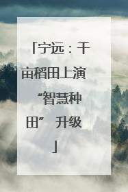 宁远：千亩稻田上演 “智慧种田” 升级