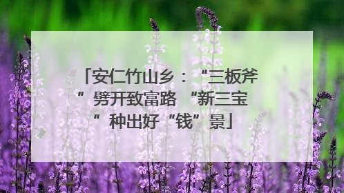安仁竹山乡：“三板斧”劈开致富路 “新三宝”种出好“钱”景
