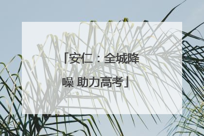安仁：全城降噪 助力高考