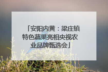安阳内黄：梁庄镇特色蔬果亮相央视农业品牌甄选会